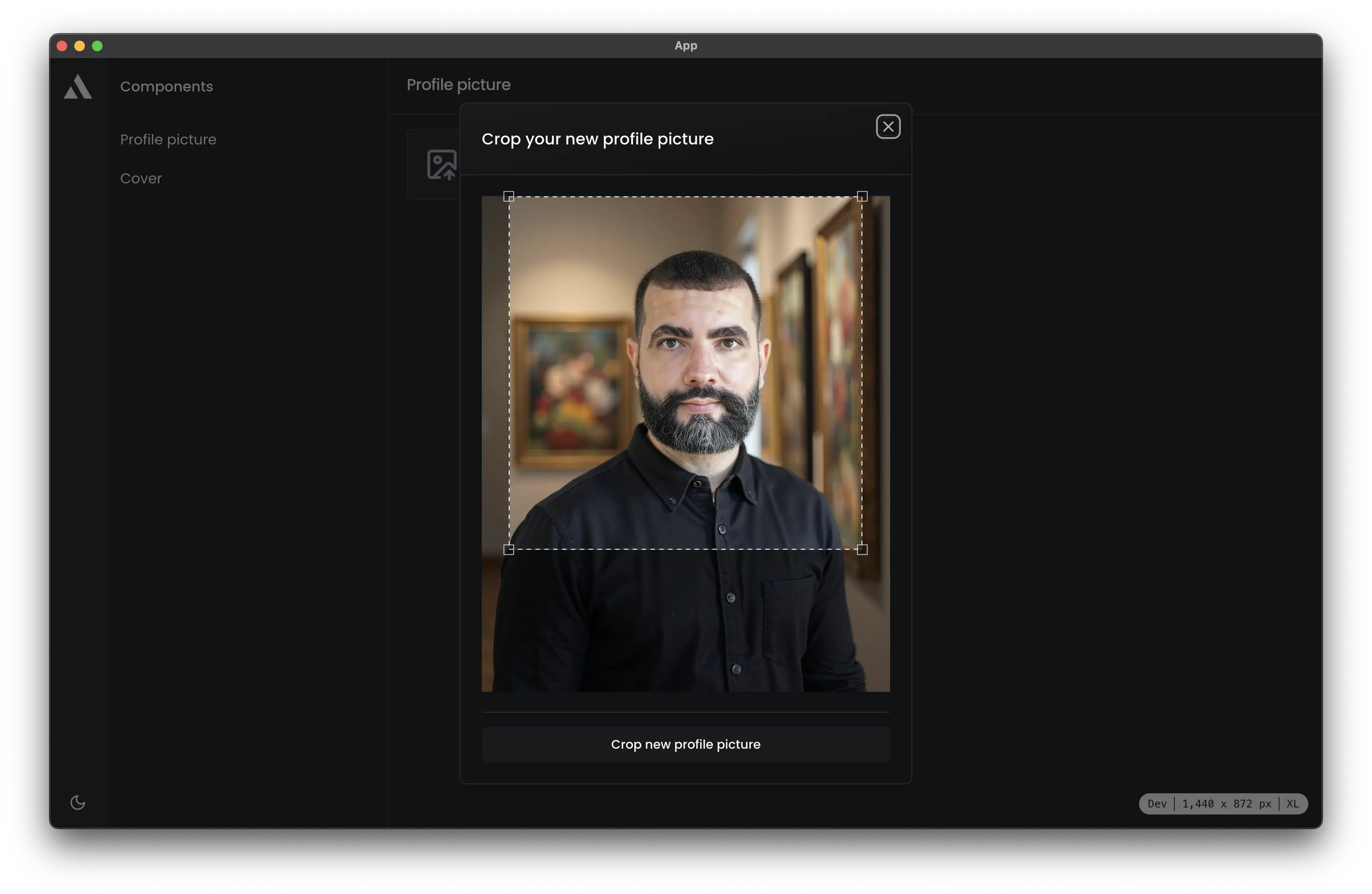 Next.js with react-image-crop